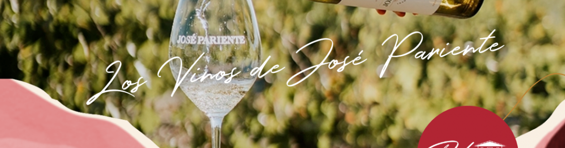 Descubriendo los vinos de José Pariente: Verdejo, Sauvignon Blanc y Cuvee Especial