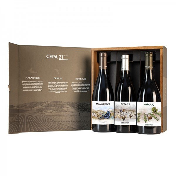 CEPA 21 ESTUCHE PREMIUM