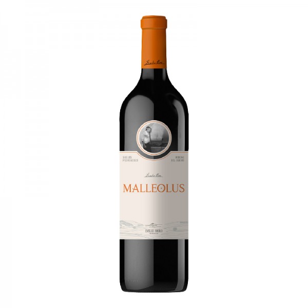 MALLEOLUS MAGNUMS 1.5