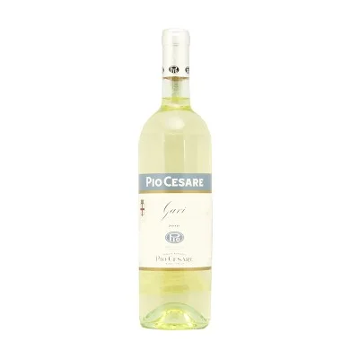 PIO CESARE GAVI DOC